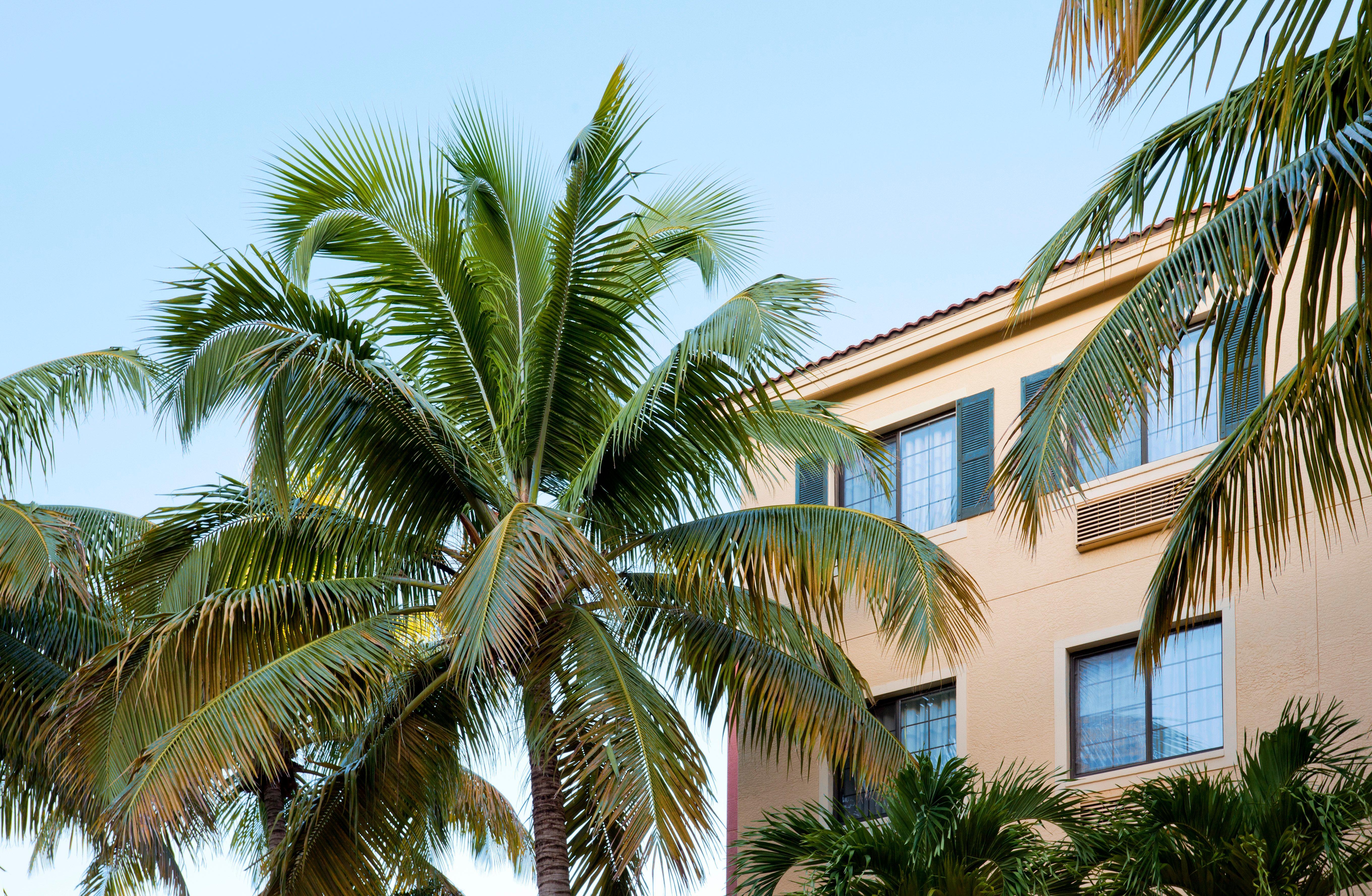 Staybridge Suites Naples - Gulf Coast, An Ihg Hotel Eksteriør billede